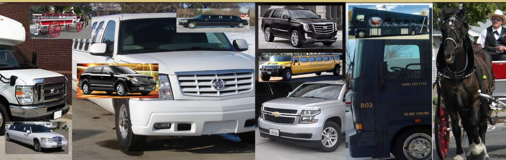 Billings & Montana Transportation Services: A Serious Fleet of Vehicles
