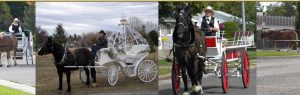 Horse Carriage wedding