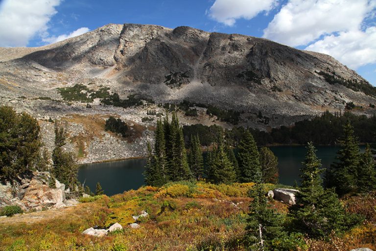 beartooth mountain tours