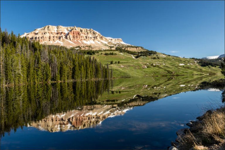 beartooth mountain tours