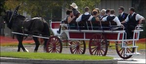 Billings Transportation Horse Drawn carriage