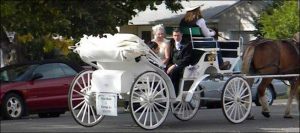 Billings Transportation Horse Drawn carriage