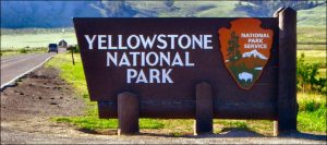 Yellowstone National Park Tour