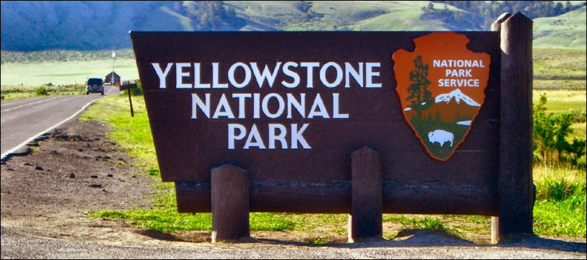 Yellowstone National Park Tours